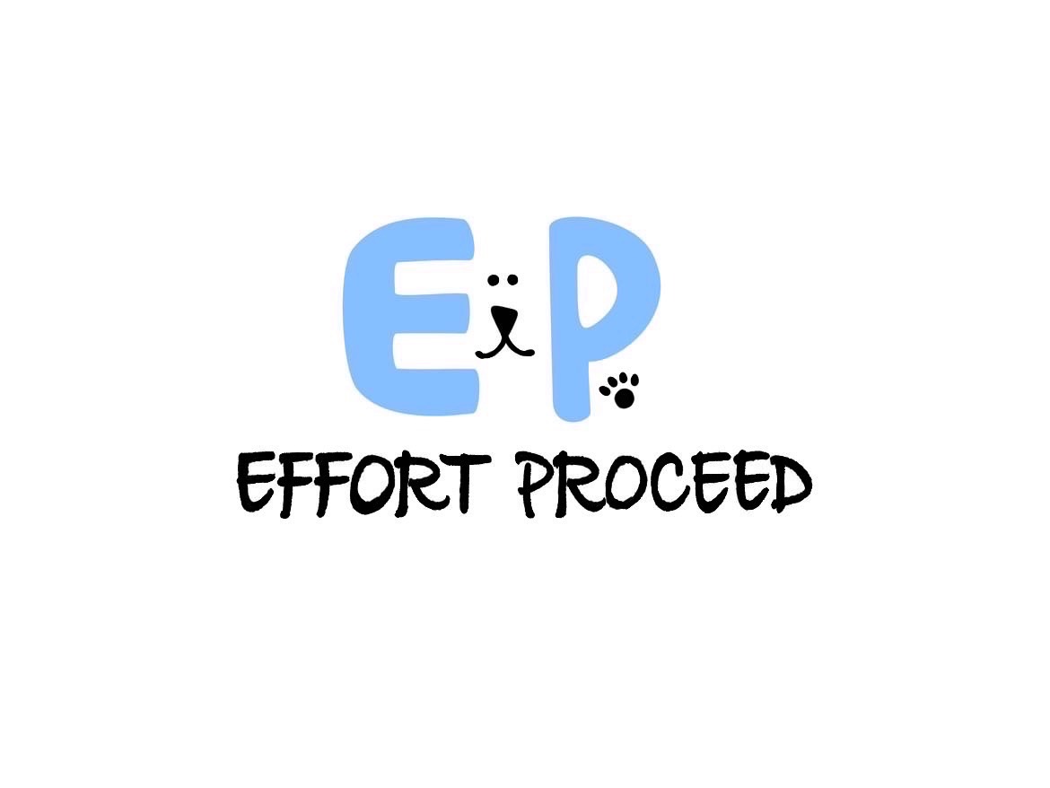EFFORT PROCEED